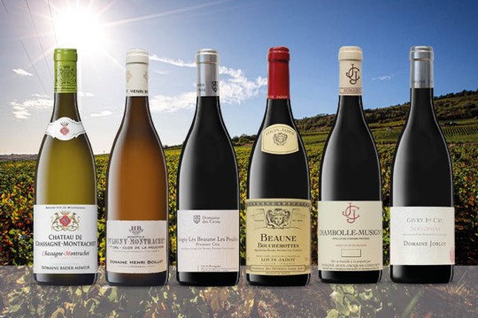 Werbung Homepage_Primeur_Angebot
